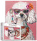 Niedlicher Pudel Jigsaw Puzzle Bunte Schmuck-Sonnenbrille,1000 Teile für Erwachsene,Lustige Tier-Illustrationen,Kreative Style Puzzles für interessante Familienaktivitäten,DIY Jigsaw Puzzle Geschenke