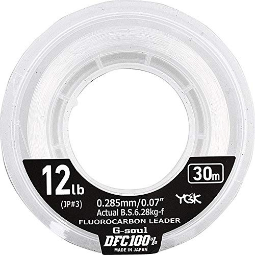 YGK G-Soul DFC 100% Fluorocarbon-Leiter, 6lbs