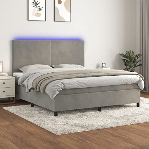 Xichuzi Boxspringbett mit Matratze & Hellgrau 180x200 cm Samt, Bett, Bettgestell, Jugendbett, Schlafzimmer Bett, Bed Frame - 3136017