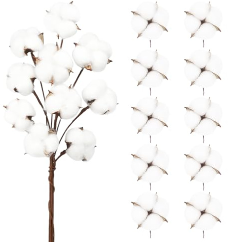 Larber 20 Stück Baumwolle Deko Set 10 Stück Natürlich Getrocknete Baumwolle und 10 Stück Baumwollblumenköpfe Trockenblumen Deko für Die Perfekte Hochzeit、Blumen Arrangements Heim Decor DIY Dekoration