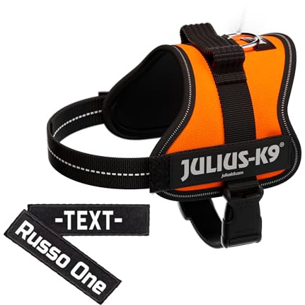 K9 Powergeschirr Original Julius-K9 Hundegeschirr für Diensthunde inkl. 2 Stück Klettsticker mit Wunschtext gratis (UV Orange, XS/Mini-mini (Brust: 40-53 cm))