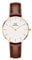 Daniel Wellington Petite Uhr 32mm Double Plated Stainless Steel (316L) Rose Gold