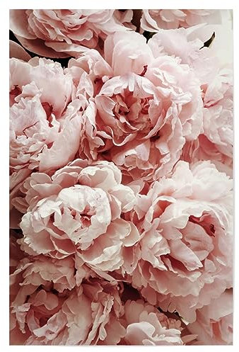 artboxONE Poster 75x50 cm Blumen Natur Pastel Pink Peony Flowers - Bild Flower Flowers Peonies