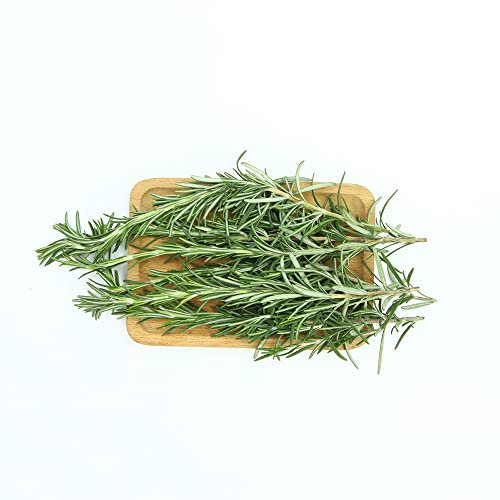 Semillas De Romero/Plantas De Romero, Plantas De Jardín De Hierbas, Decoración De Cocina (Romero/Romero), Semillas De Cubierta Vegetal Resistentes, Maceta De Hierbas Balcón - 300 Piezas
