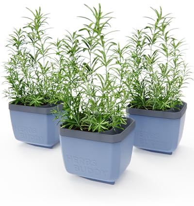 GUSTA GARDEN Herbs Buddy - Pot à herbes aromatiques et à arrosage automatique - Idéal pour la cuisine et le rebord de fenêtre - Idéal pour le basilic, le réservoir d'eau, indicateur de niveau d'eau