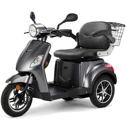 Elektromobil VitaEco - 25 km/h, 800W, Blei-Gel-Akku, 30 km Reichweite, Strassenzulassung Mofa/Klasse AM | elrofu