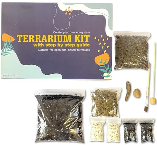 Kit de Terrarium pour Plantes succulentes et Cactus avec Guide étape par étape Comprenant Sol, Mousse de sphaigne