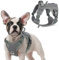 rabbitgoo Hundegeschirr Kleine Hunde, Anti Zug Geschirr Hund Verstellbar mit Griffe Verbreitert, Robust und Verschleißfest, Taktisches Hundegeschirr mit Metallschnallen zum Wandern(S, Grau)