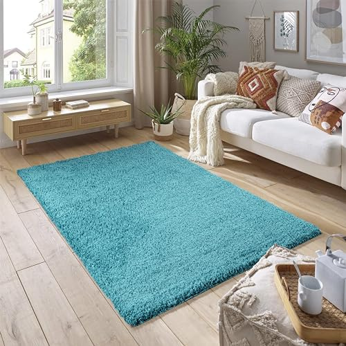SmartLiving Rugs Living Room 120x170 cm, Teal Area Rugs for Bedroom, Non Slip Carpet Rug, Non Shedding Floor Mat, Modern Super Soft Carpets Fluffy Shaggy Rug for Lounge, Dining Room, Bedroom