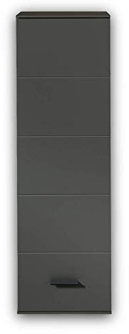 Stella Trading MEDIANA Hängeelement in Graphit matt - Moderner Hängeschrank mit viel Stauraum für Ihr Wohnzimmer - 40 x 125 x 36 cm (B/H/T)