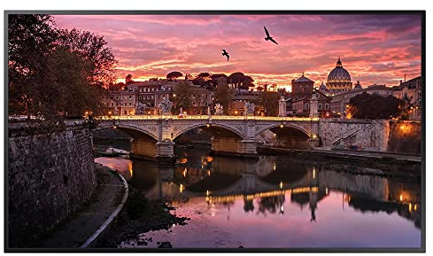 Samsung Dis Public 85 QB85R-B