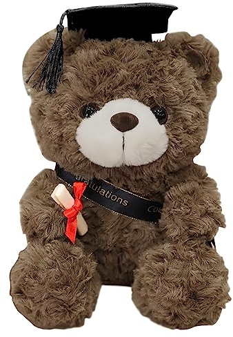 HENGBIRD Teddybär Plüschtier Examensbär Abschlussbär Graduation Teddybär Klein 23cm Graduierung Kuscheltier Bär Bachelor Abschluss Geschenk Kuscheltier für den Abschluss, Abitur oder Studium
