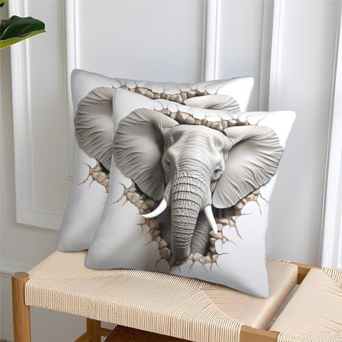 GNMRTFEAE Elefant Hochwertige Kissenbezüge 2er Set Mit Reißverschluss - Tier Für Sofa, Schlafzimmer, Auto Allergikerfreundliches Material 45x45cm