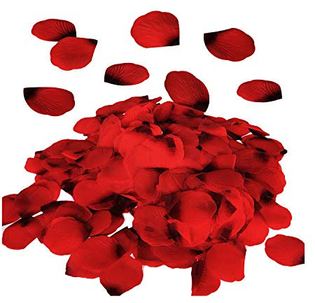 TORR 3000 Pezzi di Petali di Rose Artificiali Fiori Rossi per Corridoio di Nozze, Festa e Tavola, Vaso, Decorazione della Casa