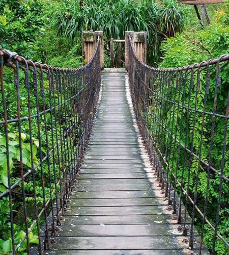 Vlies Fototapete FUßGÄNGERBRÜCKE 225 x 250 cm | Vliestapete - Wandtapete inklusive Kleister | PREMIUM VLIES QUALITÄT