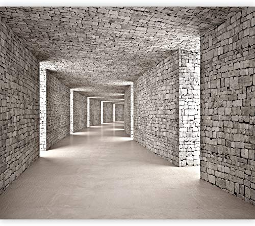 murando - Fototapete Premium-Vlies 3D Effekt Tunnel 500x350 cm - Foto Tapete Schlafzimmer Wohnzimmer Moderne Vliestapete XXL Wandtapete Motivtapeten Bildtapete Dekoration - Mauer Ziegel d-B-0332-a-a