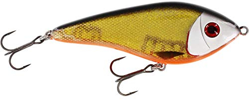 Westin Swim Glidebait - Jerkbait, Farbe:3D Official Roach, Länge/Gewicht/Schwimmverhalten:12cm / 53g / suspending