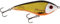 Westin Swim Glidebait - Jerkbait, Farbe:3D Official Roach, Länge/Gewicht/Schwimmverhalten:12cm / 53g / suspending
