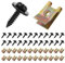Adiwo Blechmutter Schraube Mutter Clip Kit, 48 Stück Edelstahl Karosserieschrauben Edelstahl Blechmutter Schraube Mutter Clip Schnappmutter Set Gewinde Clip Mutter Set Blechschrauben Schwarz