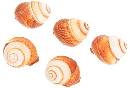 VILLFUL 5er Satz Schneckenschalen Zum Backen Schneckenschalen Nach Französischer Art Dicke Naturmaterial Schalen Kochmaterial Für Schnecken