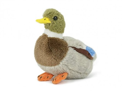 Unbekannt Stofftier Ente 13 cm, Kuscheltier Plüschtier, Erpel, Enten