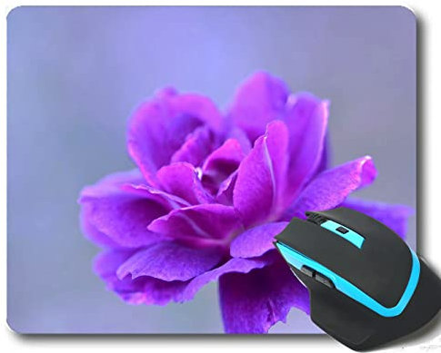 YENDOSTEEN Gaming Mouse Pad Custom, Petal Petals Floor Photography Mouspad en Caoutchouc Non Glissant 260 * 210 * 3 mm