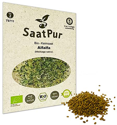 SaatPur Bio Keimsprossen - Keimsaat für Alfalfa Sprossen, Microgreen - 50g