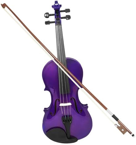 Erwachsenen geige Anfänger Professionelle 4/4 Anfänger Schülervioline