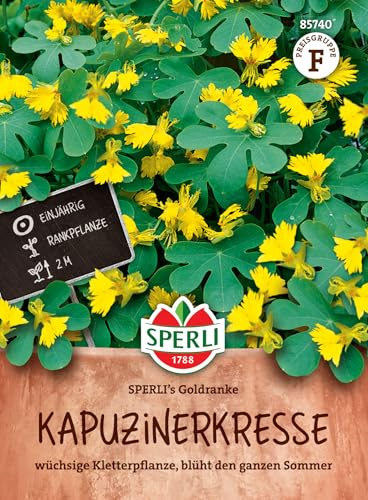 Sperli Kapuzinerkressesamen SPERLI's Goldranke 85740, Blumensaat | Blumensamen für Kletterpflanzen, für Pergolen & Balkone, schnell wachsend, einjährig