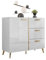 Mirjan24 Kommode Picru 100 1D3SZ, Kombikommode mit 3 Schubladen und Tür, Aufbewahrungsschrank, Mehrzweckschrank für Wohnzimmer, Esszimmer (Weiß/Weiß Hochglanz + Gold)