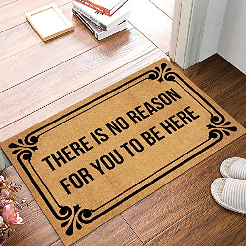 Joelmat There is No Reason for You to Be Here Entrance Non-Slip Indoor Rubber Door Mats for Front Door/Bathroom/Garden/Kitchen/Bedroom 23.6x 15.7