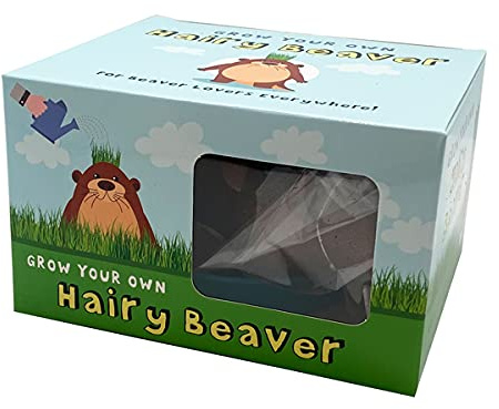 Diabolical DP1255 Grow Your Own Hairy Beaver - Funny Secret Santa Gifts for Women, Rude Birthday Gifts, Funny Gifts for Men Under 10 Pounds, Birthday Presents Mum