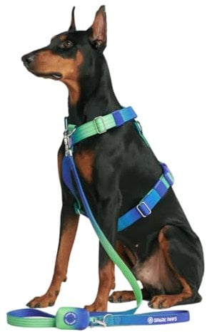 Spark Paws No Pull Hundegeschirr Grosse Hunde, Halterdesign mit Frontclip, Y Geschirr Hund, Robust und Strapazierfähig Harness für Große und Starke Rassen - Lime Wave, S