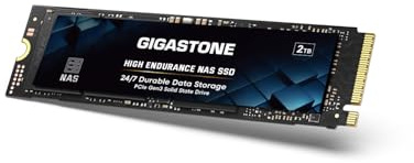 Gigastone SSD 2 TB M.2 NAS SSD 24/7 High Endurance Cache für Network Attached Storage Business Data Center Personal Cloud PCIe 3.0 NVMe NAS internes Solid-State-Laufwerk