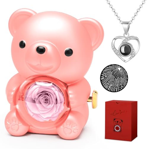 FOGARI Ewige Rose Teddybär Geschenkbox,Rosen Bär Mit Herz Damen Halskette,Rose Bear Gift Box,Kugel Rosenbox mit Gravur Doppelherzkette,für Frauen Freundin Mutter Muttertagsgeschenk Valentinstag(Rosa)