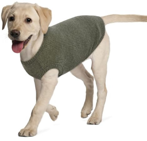 Hjumarayan Hundepullover Grosse Hunde - Hundeshirt Dünn Hunde Pullover Sonnenschutz Tshirt Elastisch Hundepulli Gestreifte Shirt Pullis für Mittelgroße Labrador (Grün XXL)