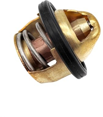 DYTJCL for ODES Thermostat for ODES ATV UTV Quad GO Kart 21040104001