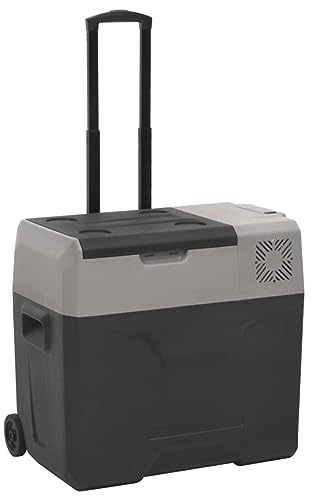 Homgoday Nevera con Ruedas y asa Polipropileno Negro y Gris 40 L Neveras Casa y jardín