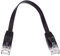 chenyang Câble réseau Ethernet UTP Cat6 RJ45 plat ultra fin pour ordinateur portable routeur 0,5 m