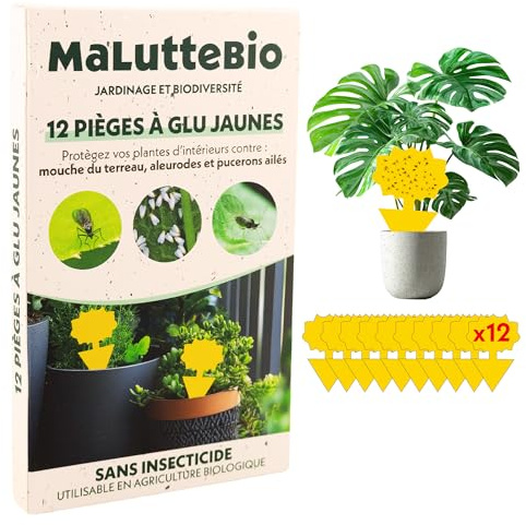 12 Pièges Jaunes Collants pour Plantes | Anti-Moucherons et Mouches des Terreaux | Intérieur & Extérieur | sans Insecticide & Inodore