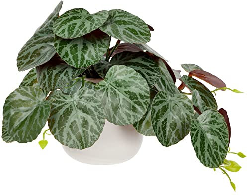 Oairse Small Artificial Plants in Ceramic Pots Decorative Fake Potted Plants Faux Begonia Leaves Realistic Greenery House Plant Indoor for Aesthetic Home Office Kitchen Bathroom Desk Décor