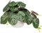 Oairse Small Artificial Plants in Ceramic Pots Decorative Fake Potted Plants Faux Begonia Leaves Realistic Greenery House Plant Indoor for Aesthetic Home Office Kitchen Bathroom Desk Décor
