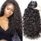 Water Wave Human Hair Bundles(14 16 18 Zoll) Brasilianisches Curly Human Hair 100% Unprocessed Virgin Menschliche Haar Extensions Echthaar natürliches Schwarz
