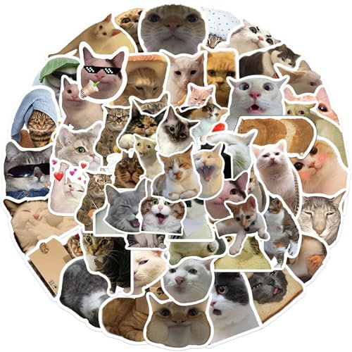 GWAWG 100 Stück lustige Katzen-Aufkleber-Set, Kätzchen-Aufkleber, niedliche Katzen-Aufkleber, Einwegaufkleber, ästhetische, wasserdichte Aufkleber für Gitarre, Buch, Koffer, Wasserflaschen, Laptop,