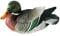 WINBST Canard flottant en résine résistante aux intempéries - Canard flottant réaliste - Pour l'extérieur - Décoration de jardin - 22 x 12 cm