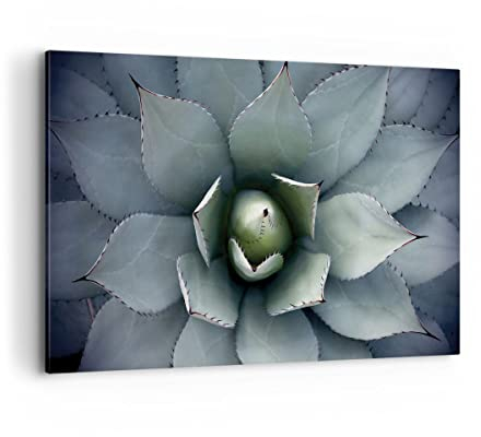 ARTTOR Wandbilder Dekoration Wohnzimmer Blau Blätter Agave Bilder auf Leinwand 120x80cm Leinwandbild Schlafzimmer Küche Deko Wand Kunstdruck Art Groß XXL Wanddeko Bild Wall Decor Canvas AA120x80-5133