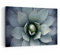 ARTTOR Wandbilder Dekoration Wohnzimmer Blau Blätter Agave Bilder auf Leinwand 120x80cm Leinwandbild Schlafzimmer Küche Deko Wand Kunstdruck Art Groß XXL Wanddeko Bild Wall Decor Canvas AA120x80-5133