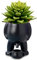 LEVDRO Piss Pot Planter, Nouveauté Pipi Planteur Pot - Verser de l’Eau, Pipi Funny Vase, Taille du Jardin 5,3 » 13,5 cm, Pot de Fleur Funny Vase Home Decor (Black)
