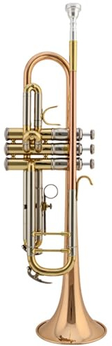 Musikinstrument Trompete Trompete Instrument Dreiton Trompete Bb B-Dur Orchester