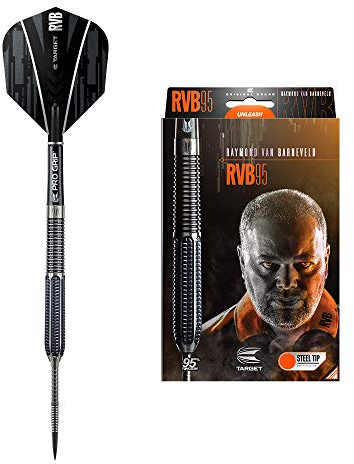 Target Darts Raymond Van Barneveld RVB 95 1. Generation 23G 95% Wolfram Steeldarts-Set Dartpfeile